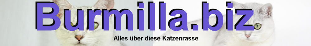 alles über die Katzenrasse